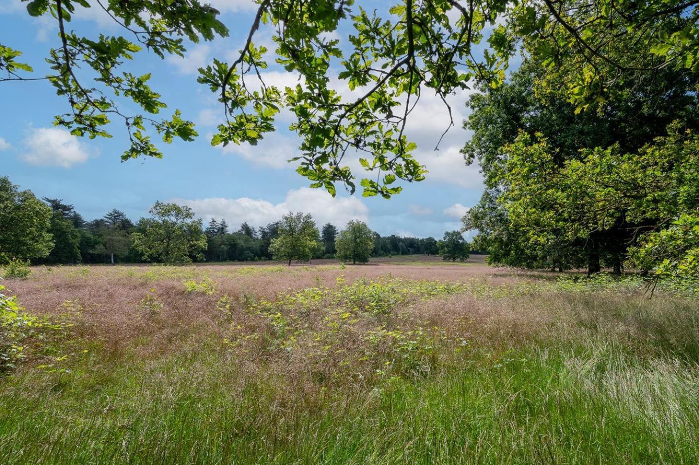 Landhuisje 31 'De Akkersteen' Bospark Ijsselheide Zwolle Hattemerbroek Buitenkant foto