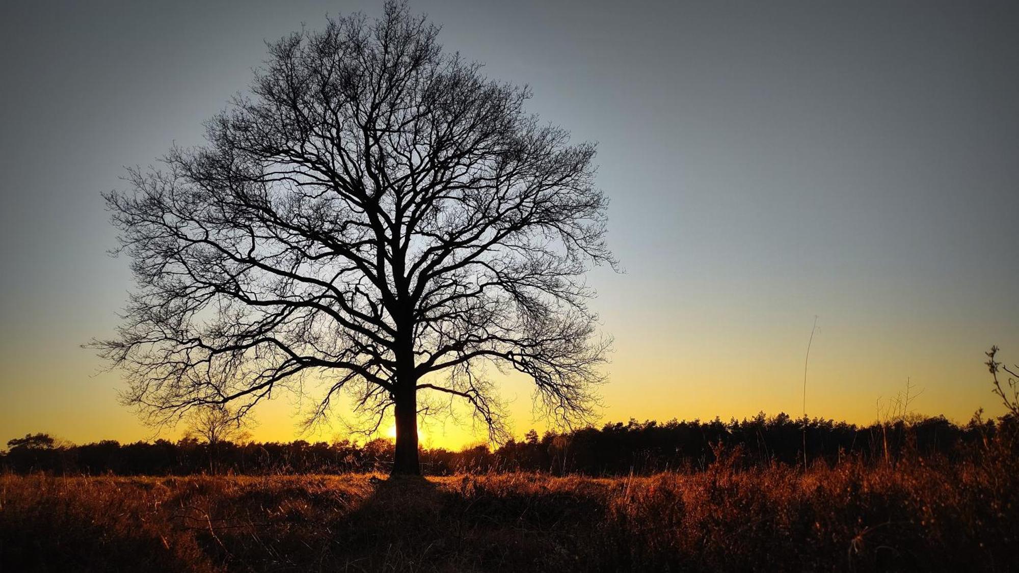 Landhuisje 31 'De Akkersteen' Bospark Ijsselheide Zwolle Hattemerbroek Buitenkant foto